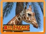 thumb rio safari